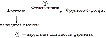 Ферментопатии (энзимопатии) - student2.ru