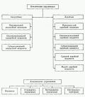 Физиологическая классификация спортивных упражнений - student2.ru