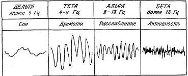 Физиологическая основа - student2.ru