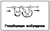 Физиологические механизмы мгновенной и кратковременной памяти - student2.ru
