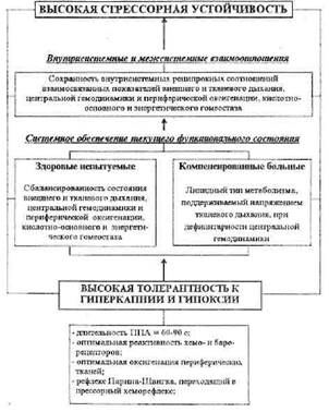 физиологические механизмы различий устойчивости организма к стрессу - student2.ru