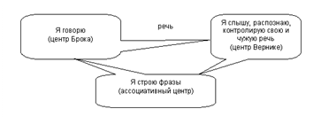 Физиологические основы речи. Физиологическую основу речи составляет вторая сигнальная система - student2.ru