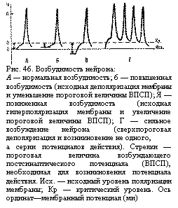 физиология центральной нервной системы - student2.ru