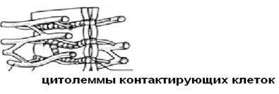 физиология с основами анатомии - student2.ru