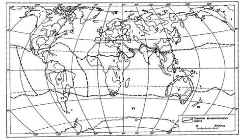 Флористическое районирование земного шара - student2.ru