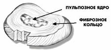 Функции мышечной ткани: (1) - student2.ru