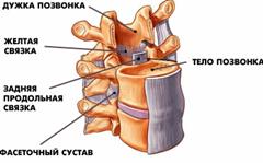 Функции мышечной ткани: (1) - student2.ru