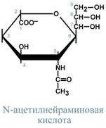 Функции триацилглицеролов - student2.ru