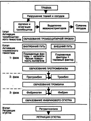 ГЕМОКОАГУЛЯЦИЯ—ФЕРМЕНТАТИВНЫЕ ПРОЦЕССЫ - student2.ru