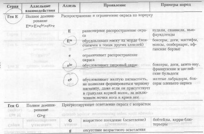 генетические основы селекции - student2.ru