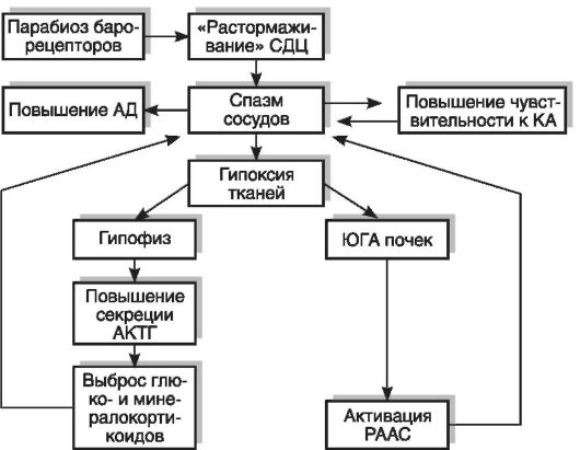 Гипертоническая болезнь - student2.ru