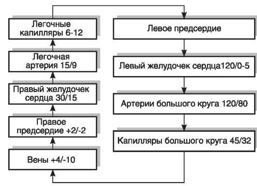 Гипертоническая болезнь - student2.ru