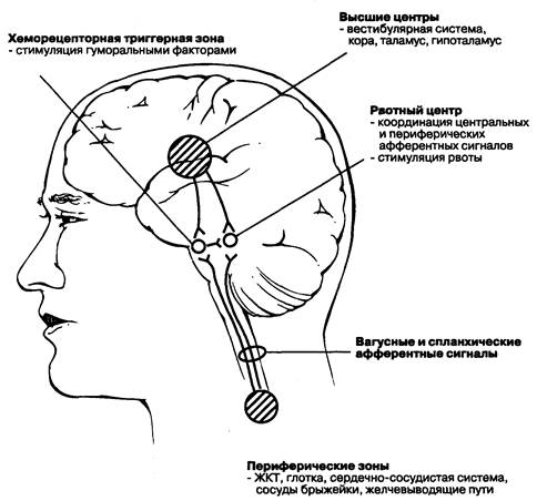 глава 4. патофизиология тошноты и рвоты - student2.ru