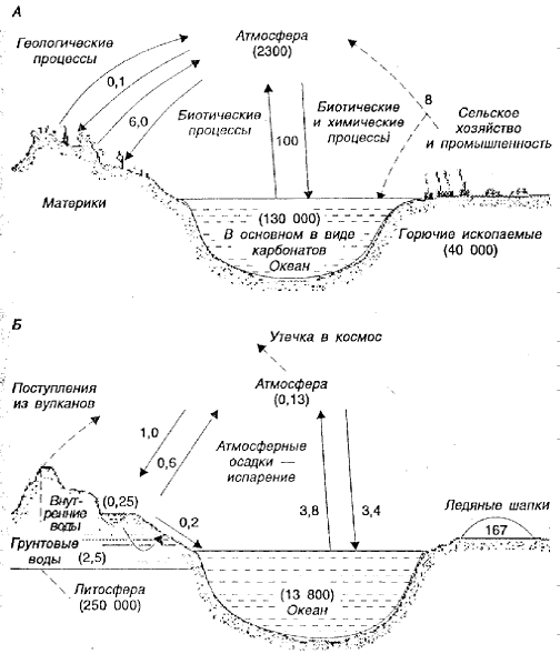 Глобальные круговороты углерода и воды - student2.ru