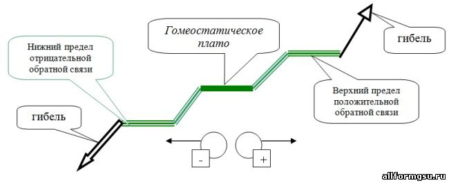 Гомеостаз и сукцессия экологической системы - student2.ru