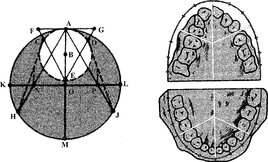 Графические методы исследования моделей челюстей - student2.ru