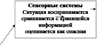 И ее воздействие на организм - student2.ru