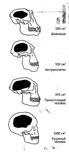 И необъяснимы для нас самих - student2.ru