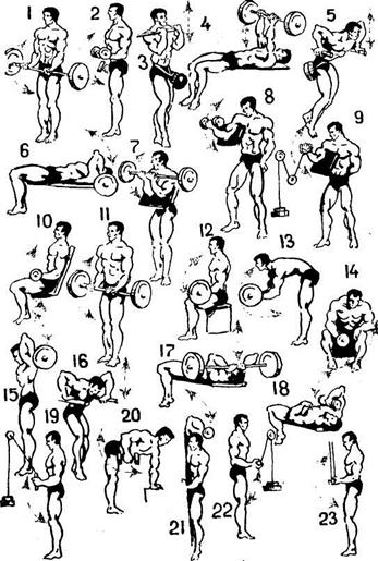 I. Упражнения для увеличения общей массы и силы мышц бедра - student2.ru