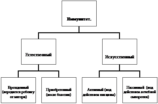 Иммунитет. Борьба с инфекционными заболеваниями. - student2.ru