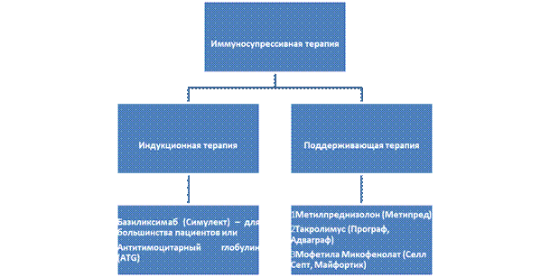 Иммунносупрессивная терапия - student2.ru