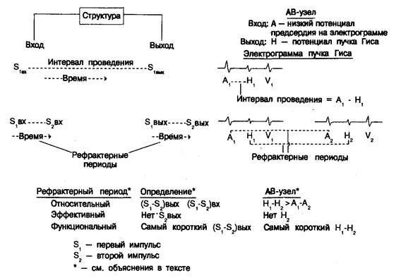 Интервалы проведения и рефрактерные периоды - student2.ru