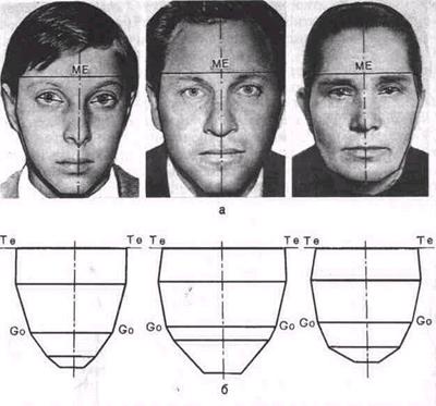 Ис. 5.3. Типы лица при нормальном прикусе по Шварцу - student2.ru