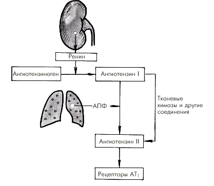 Исследование других органов 3 страница - student2.ru