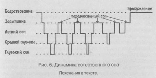 Iv. уровни бодрствования - student2.ru