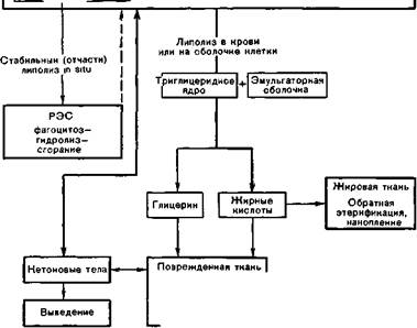 Характеристика и показания - student2.ru