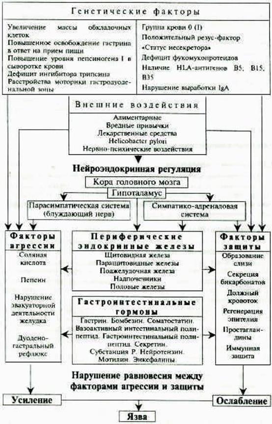 Характеристика хронических гастритов - student2.ru