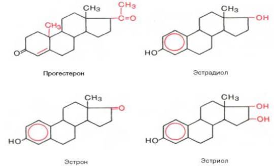 Химическая природа, регуляция секреции - student2.ru
