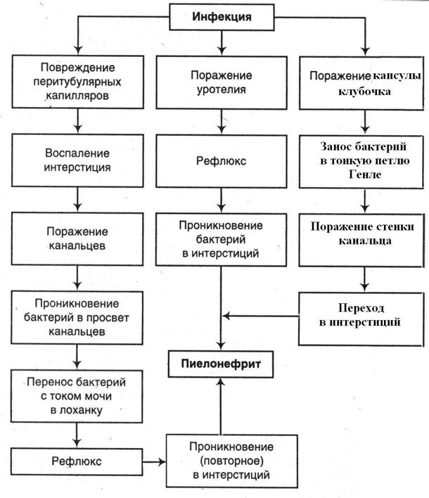 классификация основных болезней почек - student2.ru