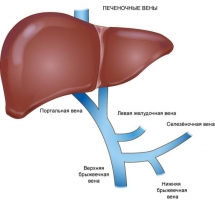Классификация портальной гипертензии - student2.ru