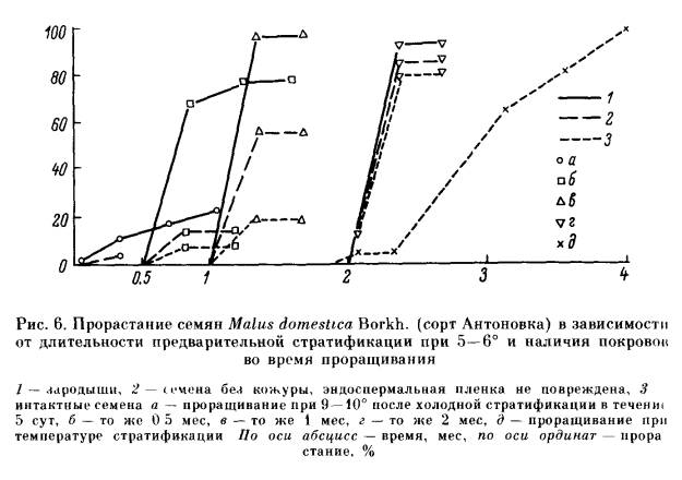 Классификация типов органического покоя семян - student2.ru