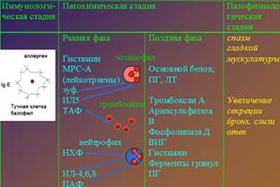 Классификация тяжести бронхиальной астмы по клиническим признакам (GINA, 2002) - student2.ru