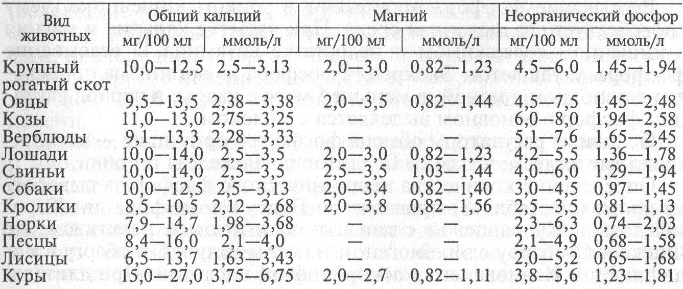 Количество общего кальция, магния и неорганического фосфора в сыворотке крови здоровых животных - student2.ru