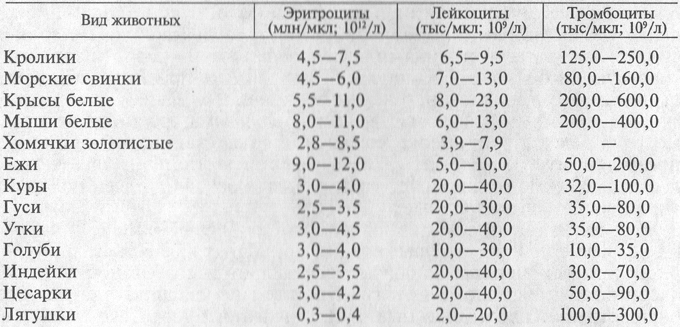 Количество эритроцитов, лейкоцитов и тромбоцитов в крови животных - student2.ru