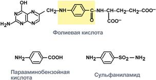 Конкурентное ингибирование сукцинатдегидрогеназы - student2.ru