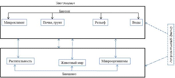 Круговорот веществ в биосфере - student2.ru