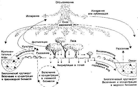 Круговорот второстепенных элементов и пестицидов - student2.ru