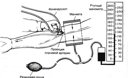 Лабораторная работа № 4.10.Регистрация артериального давления у человека - student2.ru
