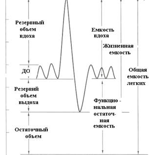 Легочные объемы и емкости - student2.ru