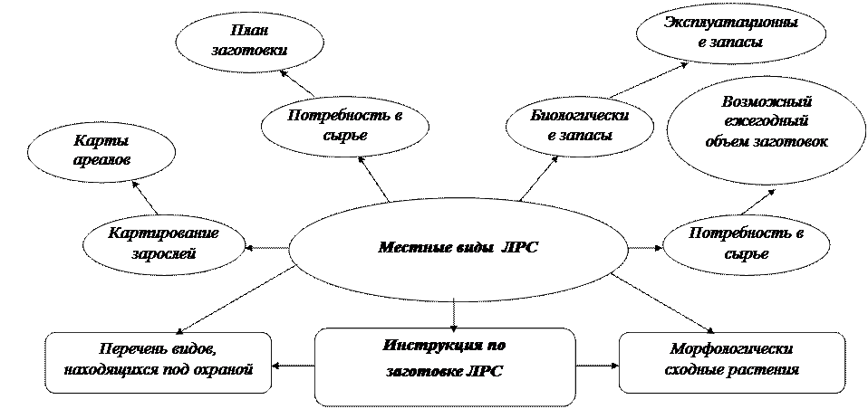 Логическая структура практики - student2.ru