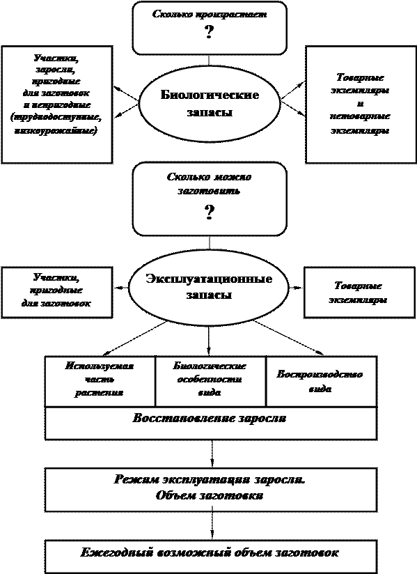 Логическая структура практики - student2.ru