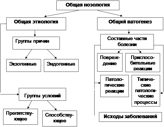 Логическая структура темы: «Общая этиология. Общий патогенез» - student2.ru