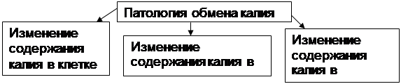 Логическая структура темы: «Патофизиология водно-солевого обмена. Отеки. Нарушение обмена калия» - student2.ru