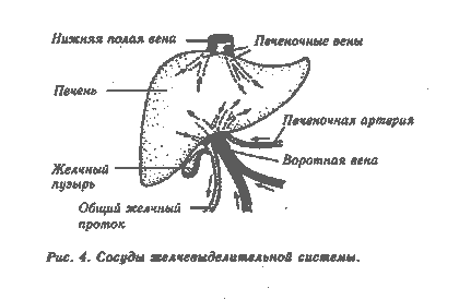 Механизм шалящего тюбажа - student2.ru