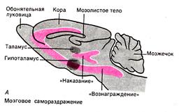 Методы диагностики и изучения эмоций. - student2.ru