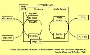 Методы и методология фр: аналитический и синтетический подход, причинный анализ. Общая и частная фр. - student2.ru